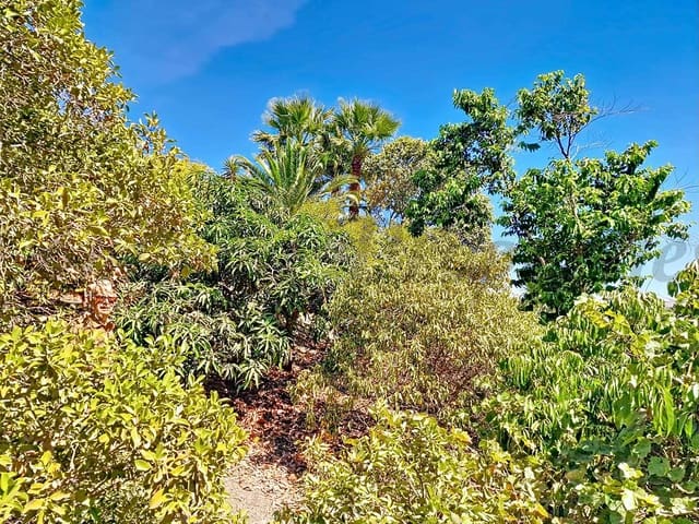 Image No.40-Villa de 4 chambres à vendre à Vélez-Málaga