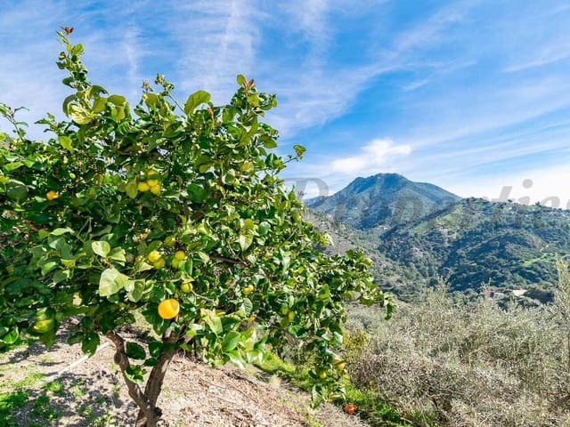 Image No.6-Villa de 3 chambres à vendre à Cómpeta