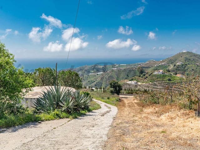 Image No.11-2 Bed Finca for sale