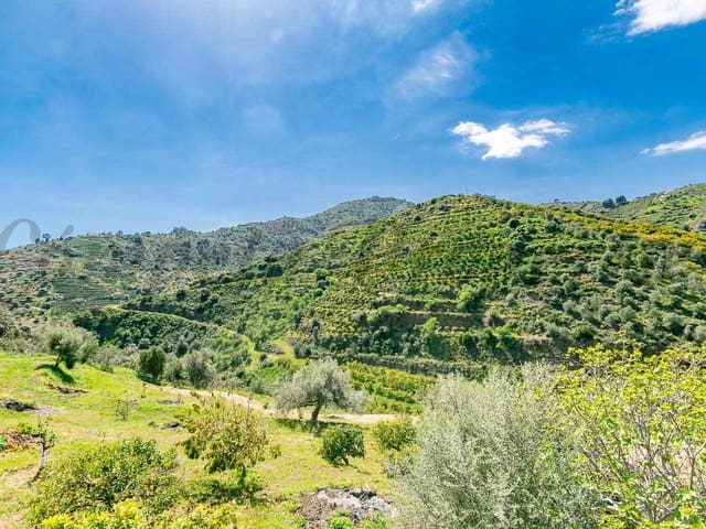 Image No.4-3 Bed Villa for sale