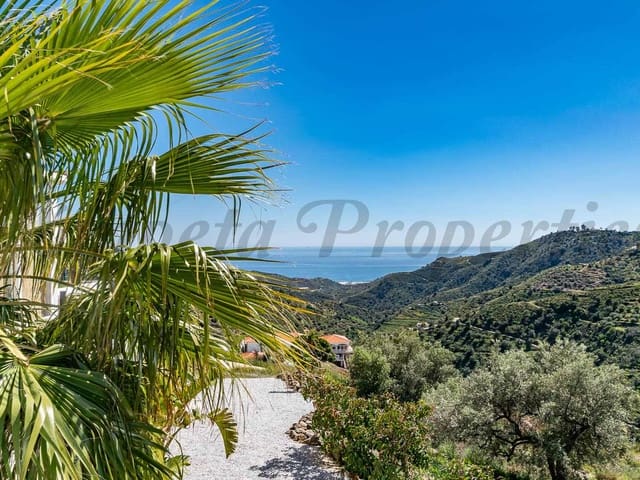 Image No.2-7 Bed Villa for sale