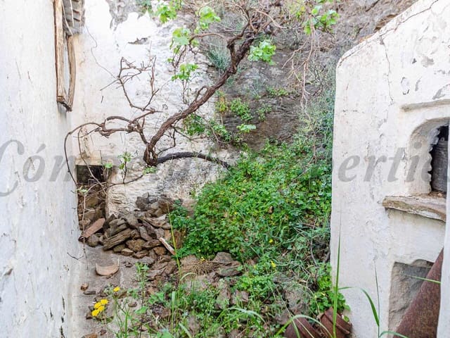 Image No.20-5 Bed Finca for sale