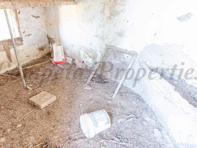 Image No.24-5 Bed Finca for sale