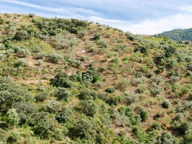 Image No.10-Land for sale