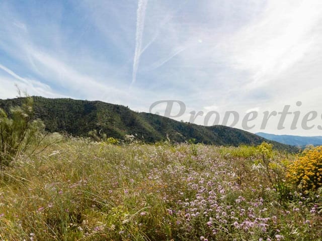 Image No.2-Land for sale