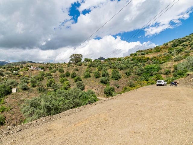Image No.3-Finca for sale