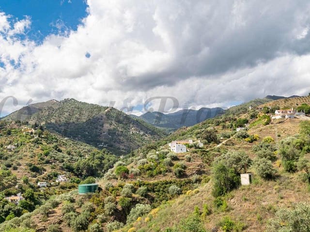Image No.5-Finca for sale