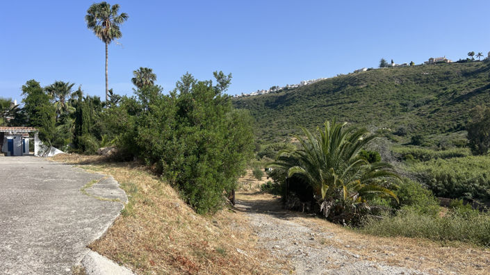 Image No.19-3 Bed Finca for sale