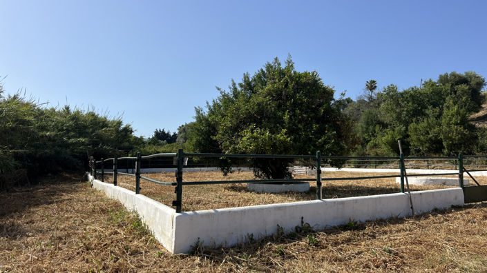 Image No.23-3 Bed Finca for sale