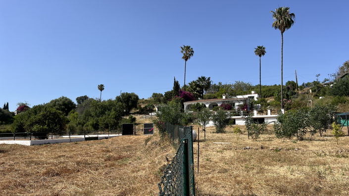 Image No.24-3 Bed Finca for sale