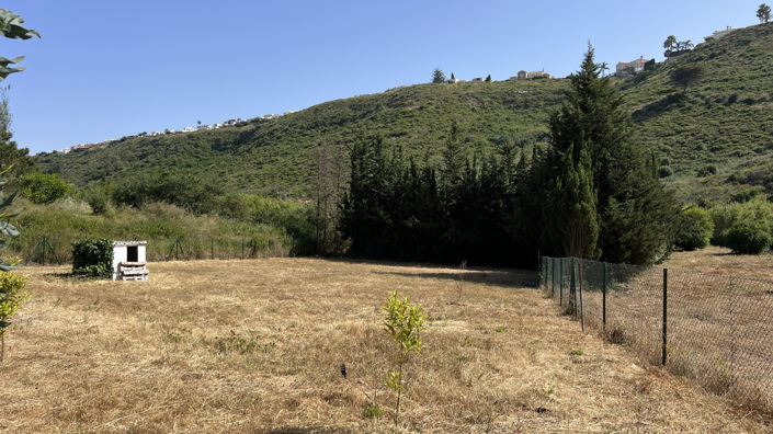 Image No.29-3 Bed Finca for sale