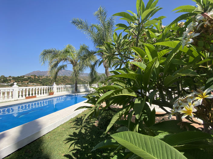 Image No.22-Finca de 3 chambres à vendre à Estepona