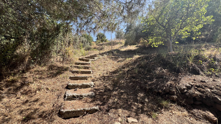 Image No.27-3 Bed Finca for sale