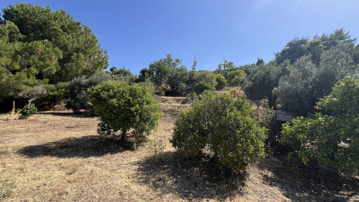 Image No.30-3 Bed Finca for sale