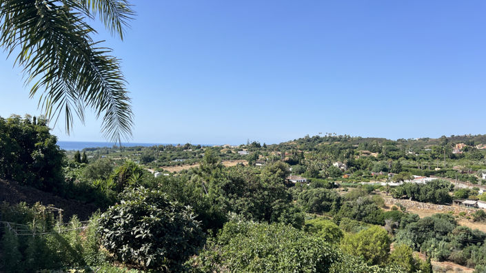 Image No.4-3 Bed Finca for sale