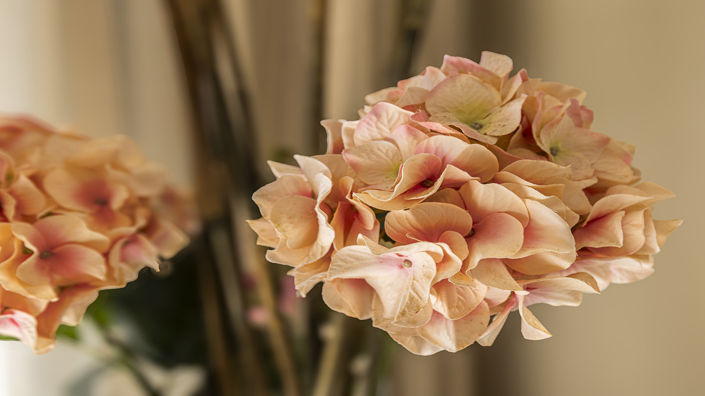 Image No.30-Appartement de 2 chambres à vendre à Casares