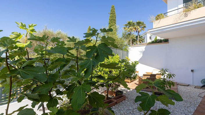 Image No.41-3 Bed Apartment for sale