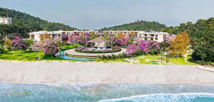 Image No.2-1 Bed Hotel for sale