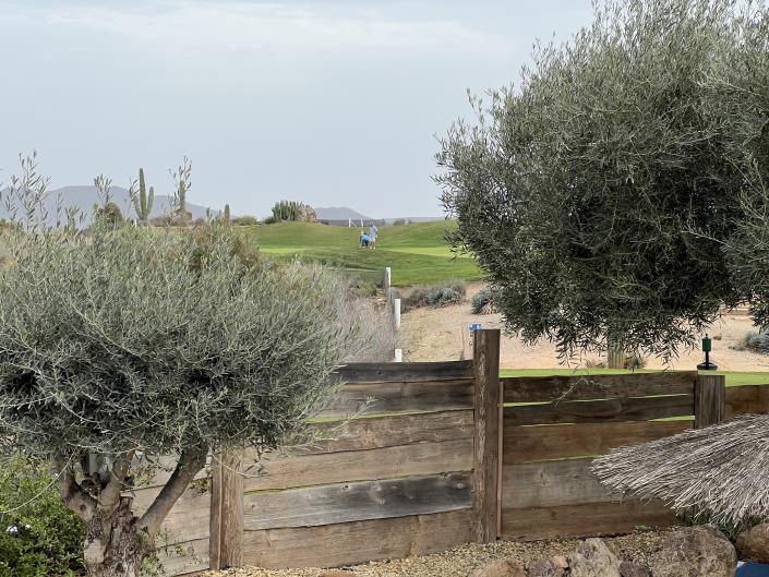 Image No.25-Villa de 4 chambres à vendre à Desert Springs