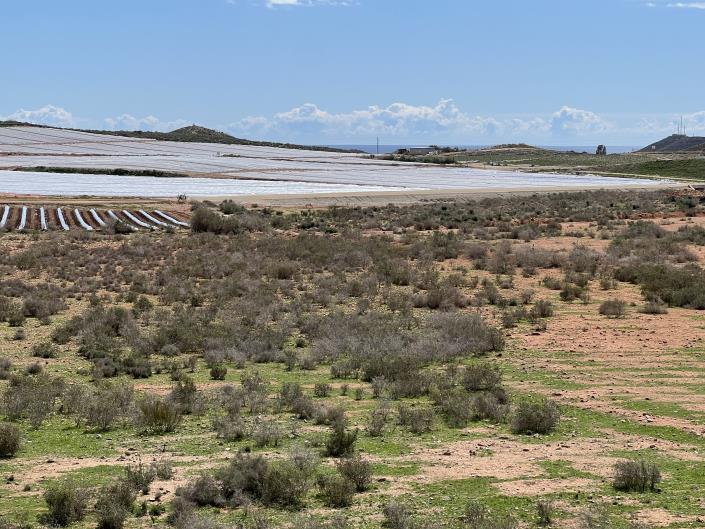 Image No.22-3 Bed Townhouse for sale