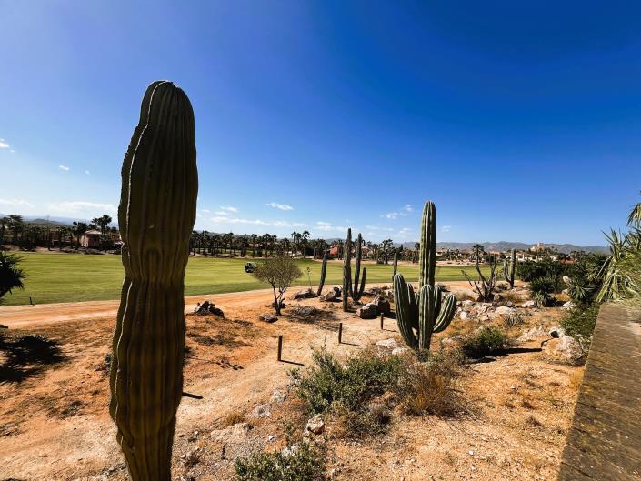 Image No.8-Maison de 4 chambres à vendre à Desert Springs