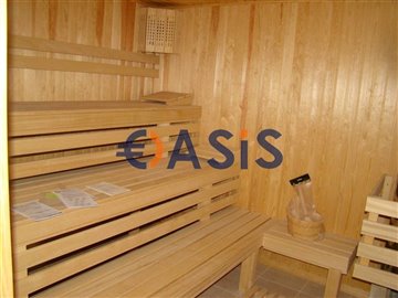 sauna1