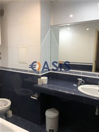 31117608-img73890