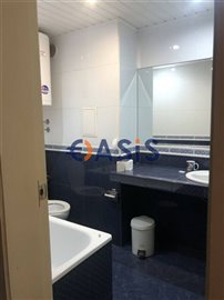 31117608-img73950