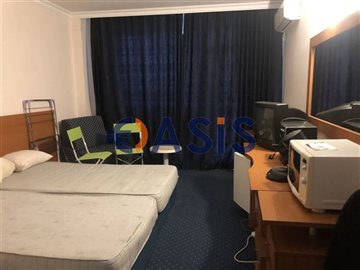 31117608-img73860