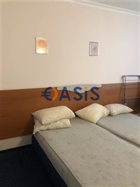 31117608-img73960