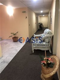 31142324-img7363