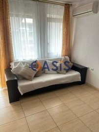 33443070-photo16795895224