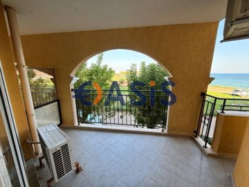 33535082-img61490
