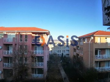 33544844-img20241119153456