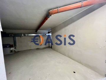 33664928-foto17012025100713