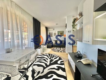 33710342-img18441