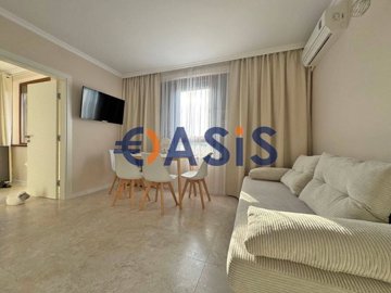 33718286-elitonia9