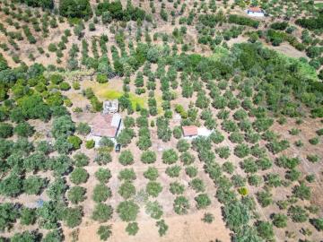 DJI_0169