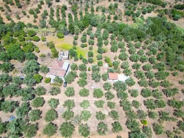 DJI_0170