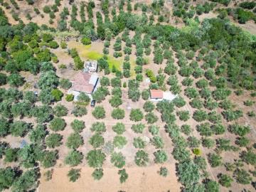 DJI_0171