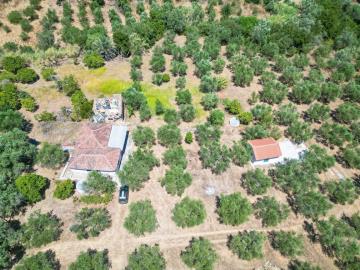 DJI_0163