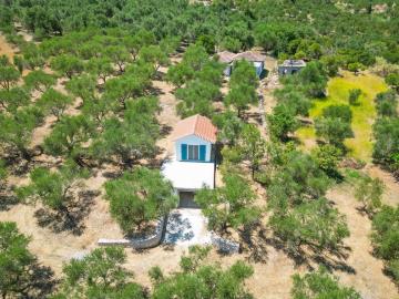 DJI_0164