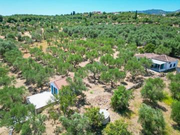 DJI_0166