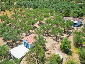 DJI_0167