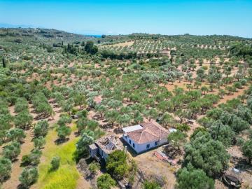 DJI_0168
