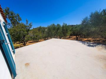 20230802_114243_resize