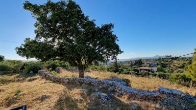 Outside-view-5