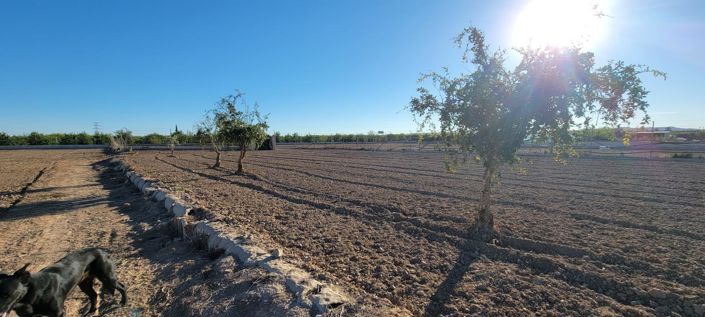 Image No.28-1 Bed Property for sale