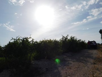 o1j097mg2l10t115jctpv1qgr1ftm29