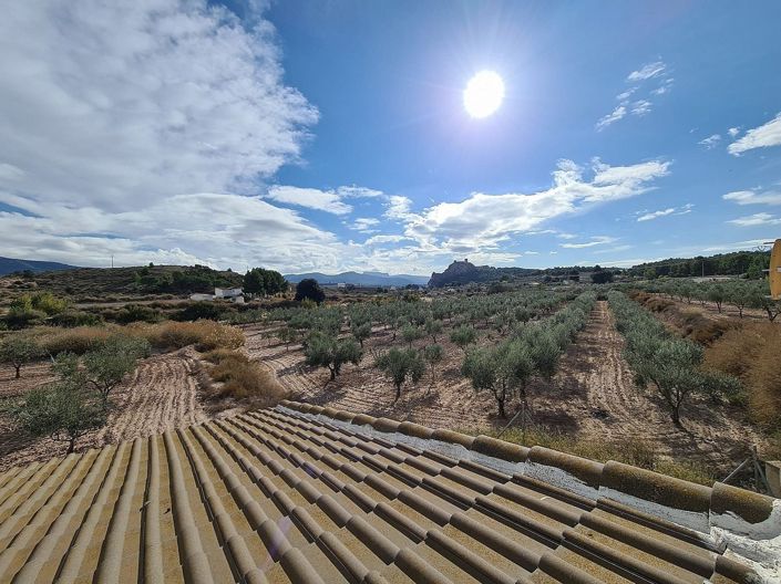 Image No.33-4 Bed Country House for sale